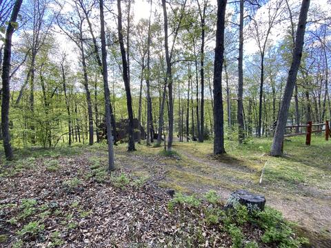 131 Oak Ln, Gladwin, MI 48624 photo 45