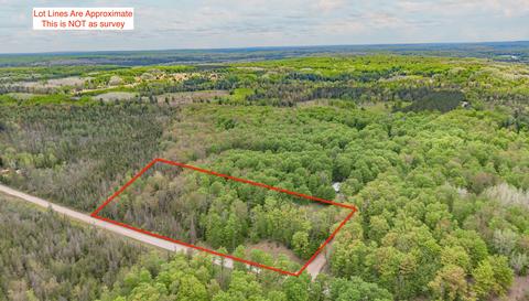 13055 Congdon Rd, Wolverine, MI 49799 photo 6