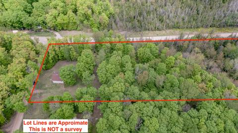 13055 Congdon Rd, Wolverine, MI 49799 photo 38