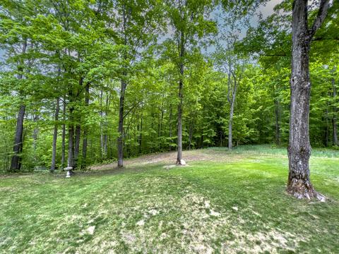 13055 Congdon Rd, Wolverine, MI 49799 photo 33