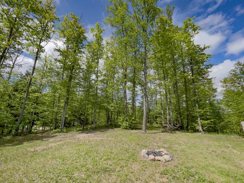 13055 Congdon Rd, Wolverine, MI 49799 photo 29