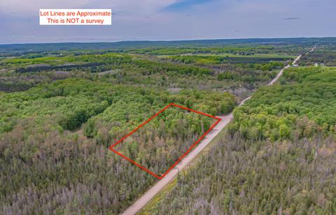 13055 Congdon Rd, Wolverine, MI 49799 photo 37