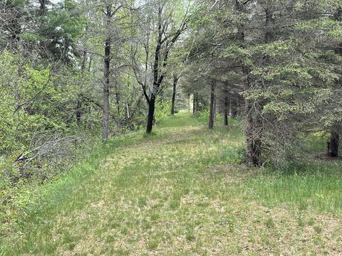 2308 Durfee Rd, Luzerne, MI 48636 photo 8