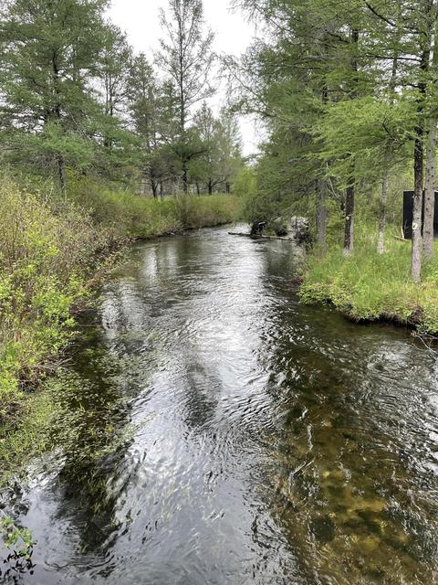 2308 Durfee Rd, Luzerne, MI 48636 photo 12