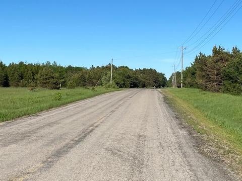 2872 Elder Rd, Carp Lake, MI 49718 photo 17