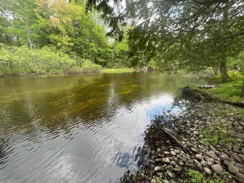 2223 Contour Drive Roscommon Mi 48653 Dr, Roscommon, MI 48653 photo 11