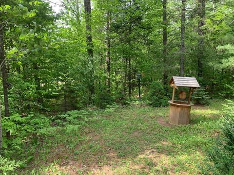 110 Davis Rd, Mio, MI 48647 photo 23