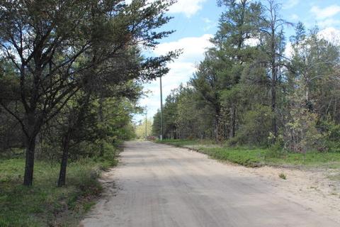 2156 Deer Track Trl, Grayling, MI 49738 photo 2