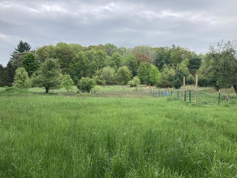 3012 E Baseline Road White Cloud Mi 49349 Rd, White Cloud, MI 49349 photo 12