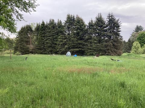 3012 E Baseline Road White Cloud Mi 49349 Rd, White Cloud, MI 49349 photo 13