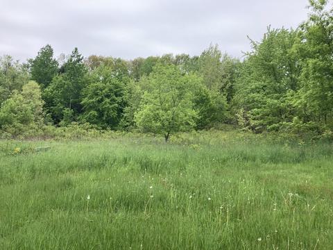 3012 E Baseline Road White Cloud Mi 49349 Rd, White Cloud, MI 49349 photo 22