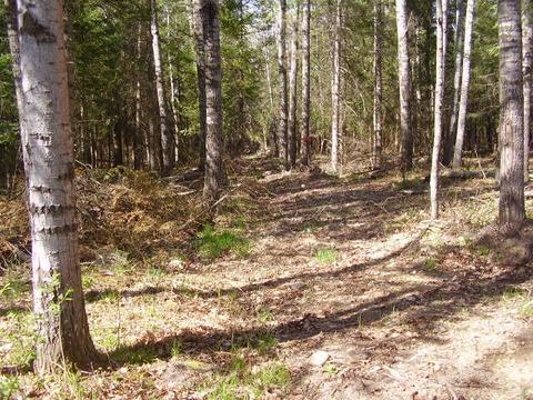 1291 Abbe Rd, Comins, MI 48619 photo 14
