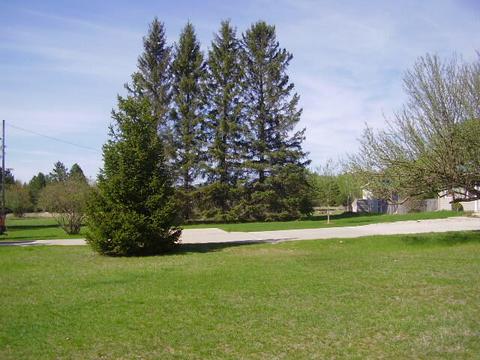 1291 Abbe Rd, Comins, MI 48619 photo 9