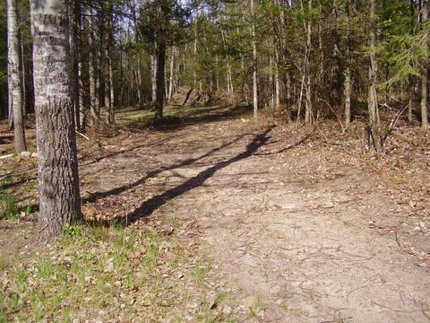1291 Abbe Rd, Comins, MI 48619 photo 13