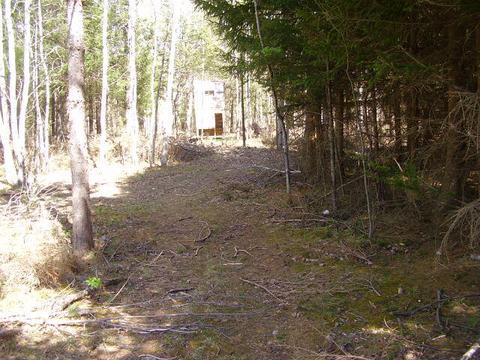1291 Abbe Rd, Comins, MI 48619 photo 10