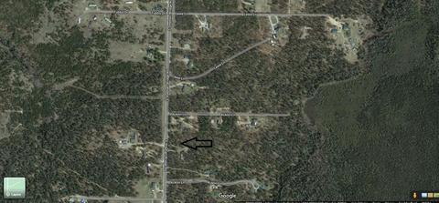 1369 S Stephan Bridge Rd, Grayling, MI 49738 photo 2
