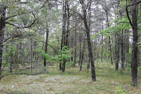 1369 S Stephan Bridge Rd, Grayling, MI 49738 photo 12