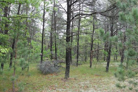 1369 S Stephan Bridge Rd, Grayling, MI 49738 photo 11