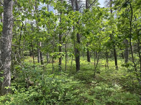 1127 E Pioneer Rd, Roscommon, MI 48653 photo 11