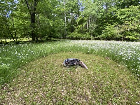 7915 Lang St, Roscommon, MI 48653 photo 5
