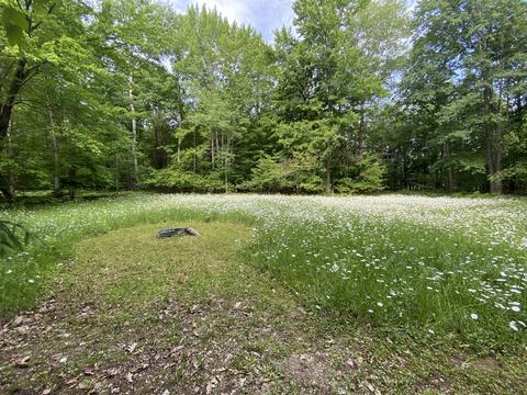 7915 Lang St, Roscommon, MI 48653 photo 6