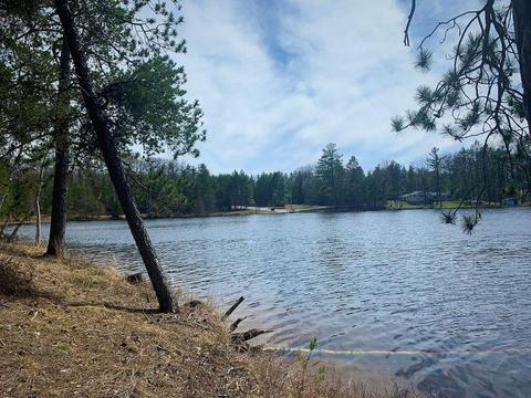 Lake Emma Road, Hawks, MI 49743
