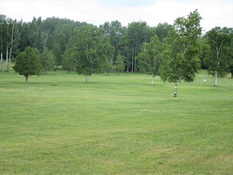 3700 Par 4 Drive Lot 52 Wolverine Mi 49799 Dr #LOT 52, Wolverine, MI 49799