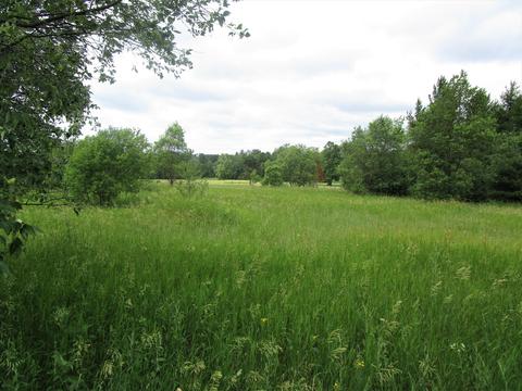 Par Four Drive, Wolverine, MI 49799
