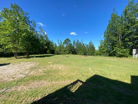 16793 Vinca Dr, Wolverine, MI 49799 photo 41