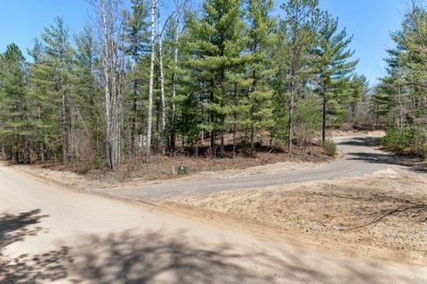 16793 Vinca Dr, Wolverine, MI 49799 photo 43