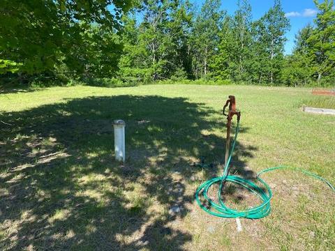 16793 Vinca Dr, Wolverine, MI 49799 photo 39