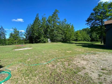 16793 Vinca Dr, Wolverine, MI 49799 photo 40