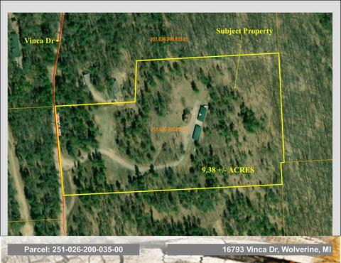 16793 Vinca Dr, Wolverine, MI 49799 photo 3