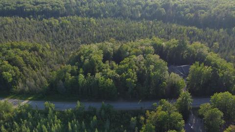 4523 Sunset Trl NE, Kalkaska, MI 49646