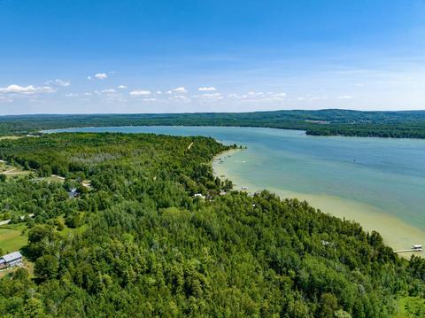 10686 Mccarthy Dr, Alanson, MI 49706 photo 2