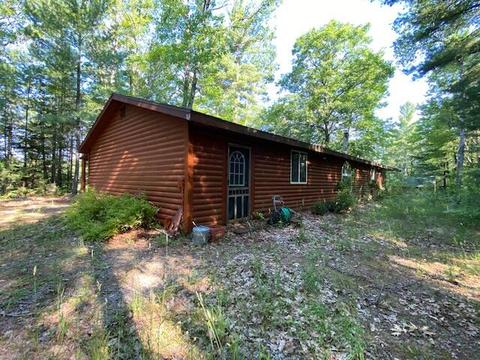 16750 Vinca Dr, Wolverine, MI 49799 photo 2