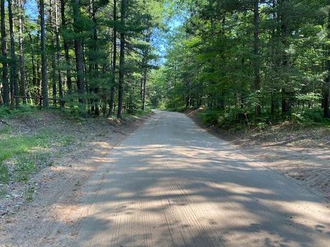 16750 Vinca Dr, Wolverine, MI 49799 photo 23