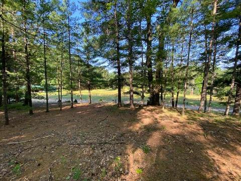 16750 Vinca Dr, Wolverine, MI 49799 photo 16