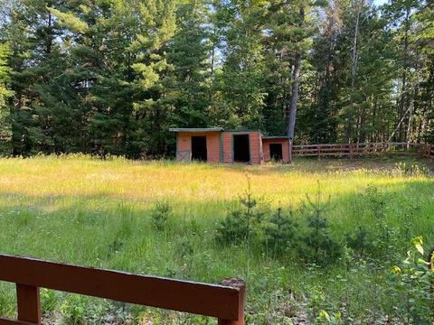 16750 Vinca Dr, Wolverine, MI 49799 photo 21