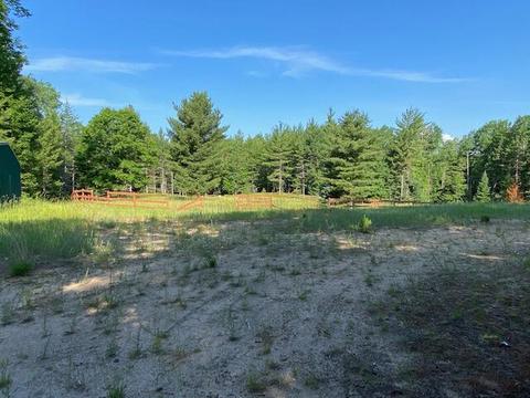 16750 Vinca Dr, Wolverine, MI 49799 photo 17