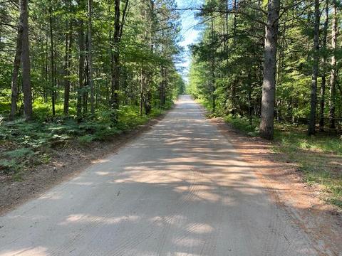 16750 Vinca Dr, Wolverine, MI 49799 photo 22