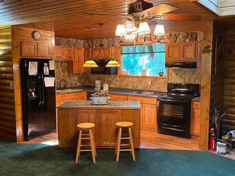 16750 Vinca Dr, Wolverine, MI 49799 photo 3