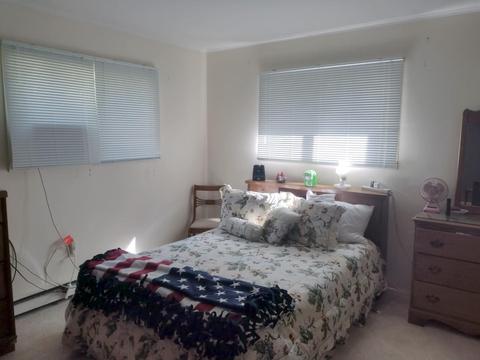 2131 Island Lake Rd, Comins, MI 48619 photo 11