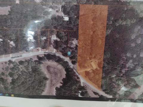 2131 Island Lake Rd, Comins, MI 48619 photo 18