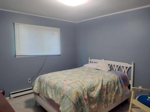 2131 Island Lake Rd, Comins, MI 48619 photo 9