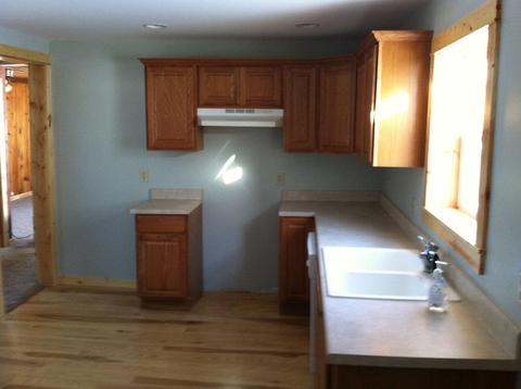 9918 Watson Rd, Wolverine, MI 49799 photo 4