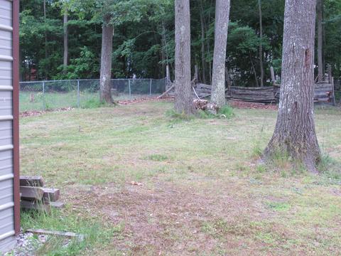 232 Maplewood Drive Roscommon Mi 48653 Dr, Roscommon, MI 48653 photo 27
