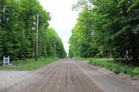 5030 Nicholas Ln, Frederic, MI 49733 photo 13