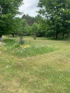 11116 Hartwick Rd, Frederic, MI 49733 photo 6