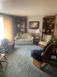 11116 Hartwick Rd, Frederic, MI 49733 photo 9